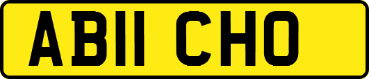AB11CHO