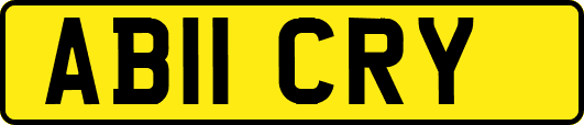AB11CRY