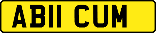 AB11CUM