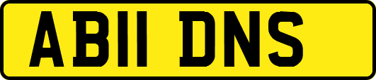 AB11DNS