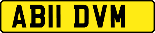 AB11DVM