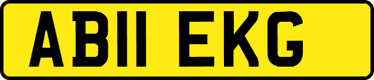 AB11EKG