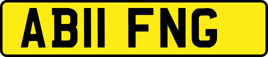 AB11FNG