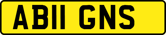 AB11GNS