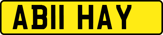 AB11HAY