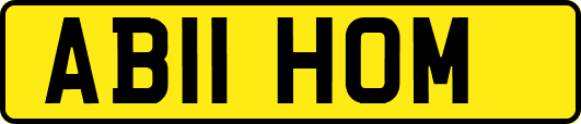 AB11HOM