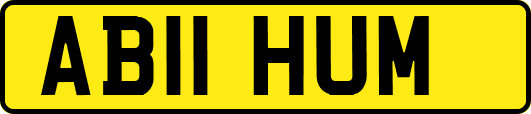 AB11HUM