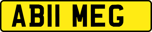 AB11MEG