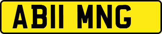 AB11MNG