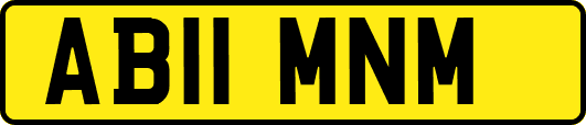 AB11MNM