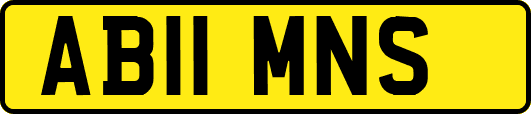 AB11MNS