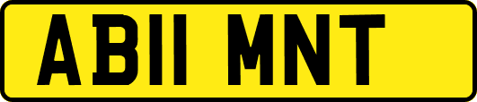 AB11MNT