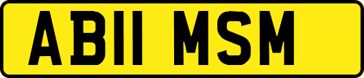 AB11MSM
