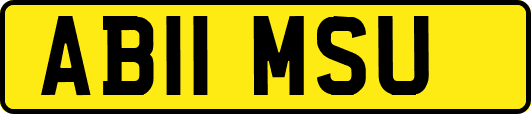 AB11MSU