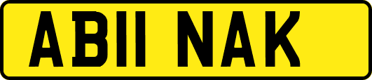 AB11NAK