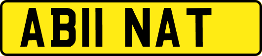 AB11NAT