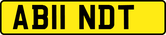 AB11NDT