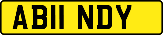 AB11NDY