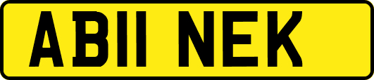 AB11NEK