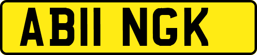 AB11NGK