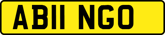 AB11NGO