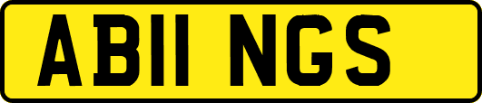 AB11NGS