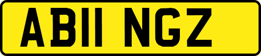 AB11NGZ