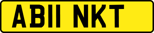 AB11NKT