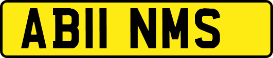 AB11NMS