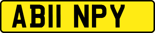AB11NPY