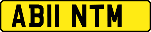 AB11NTM