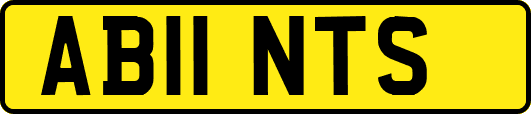 AB11NTS