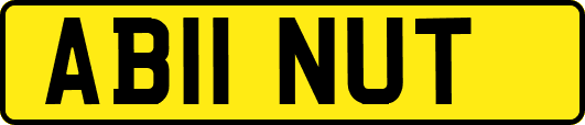 AB11NUT