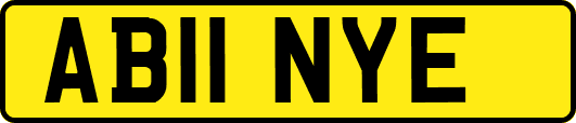 AB11NYE