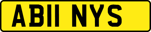 AB11NYS