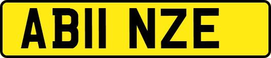 AB11NZE