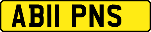 AB11PNS