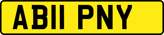 AB11PNY