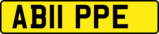 AB11PPE