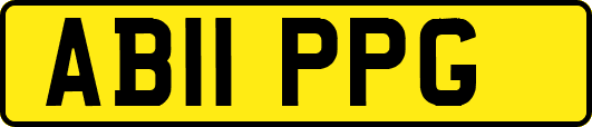 AB11PPG