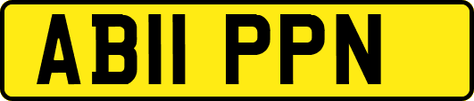 AB11PPN