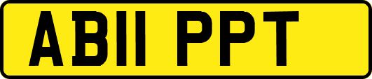 AB11PPT