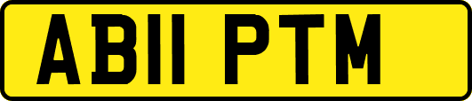 AB11PTM