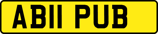AB11PUB
