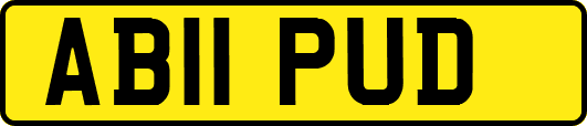 AB11PUD