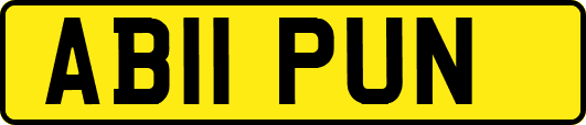 AB11PUN