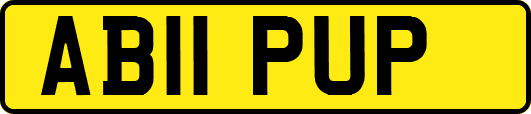 AB11PUP