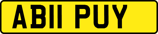 AB11PUY