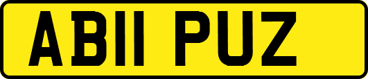 AB11PUZ