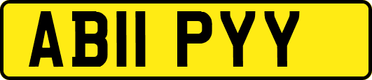 AB11PYY